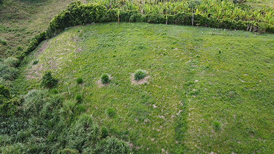 DJI_0559