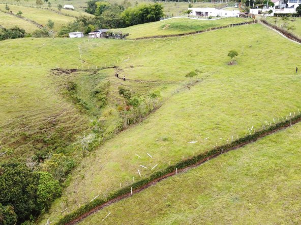 DJI_0893 (1)